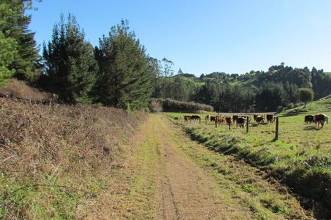 Photo of property in 1028b Mcivor Road, Rotoma, Whakatane, 3194