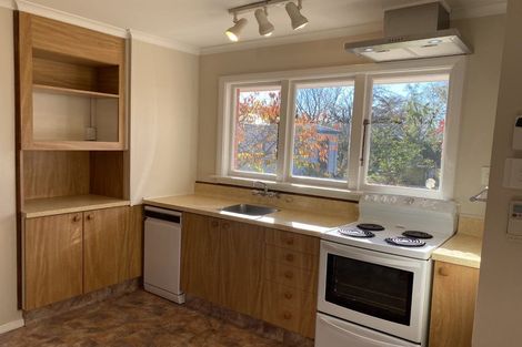 Photo of property in 101 Hoon Hay Road, Hoon Hay, Christchurch, 8025