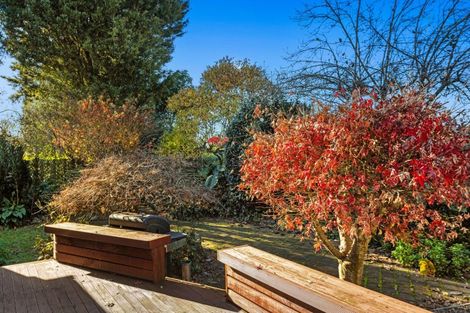 Photo of property in 81 College Road, Edgecumbe, 3120