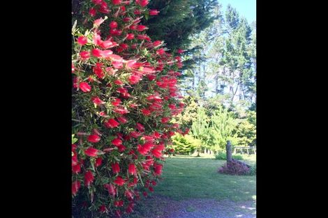 Photo of property in 365 Pungaere Road, Waipapa, Kerikeri, 0295