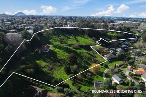 Photo of property in 7 Townhead Crescent, Bethlehem, Tauranga, 3110