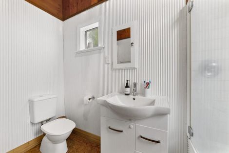 Photo of property in 19 Princess Terrace, Newtown, Wellington, 6021