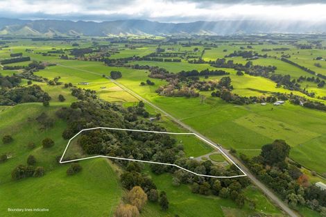 Photo of property in 137 Kiritaki Road, Dannevirke, 4972