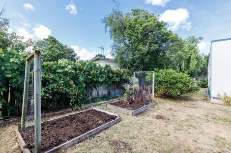 Photo of property in 51 Bryant Street, Takaro, Palmerston North, 4412