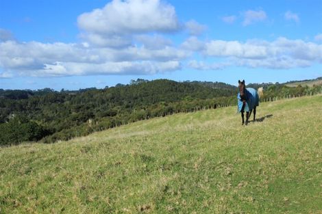 Photo of property in 71b Taiapa Valley Road, Muriwai, 0881