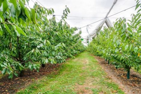 Photo of property in 200 Longlands Road, Longlands, Hastings, 4172