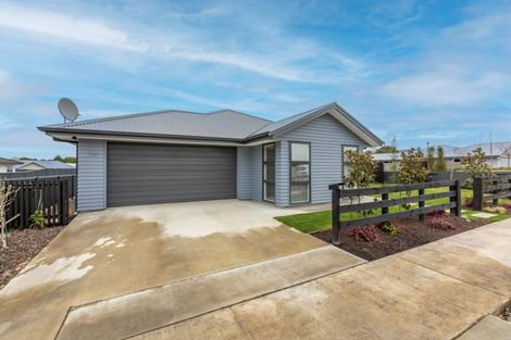 Photo of property in 20 Dee Street, Otane, 4202