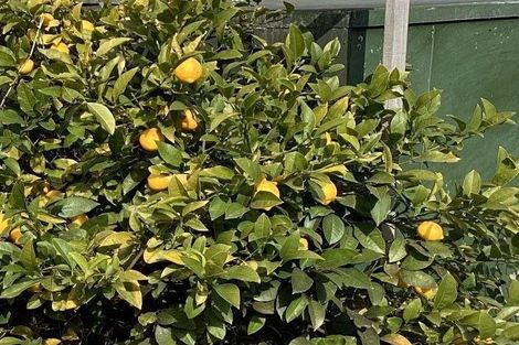 Photo of property in 139 Hawthornden Road, Avonhead, Christchurch, 8042