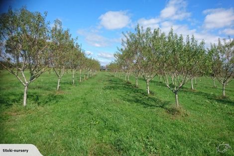 Photo of property in 324 Greig Road, Matata, Whakatane, 3194