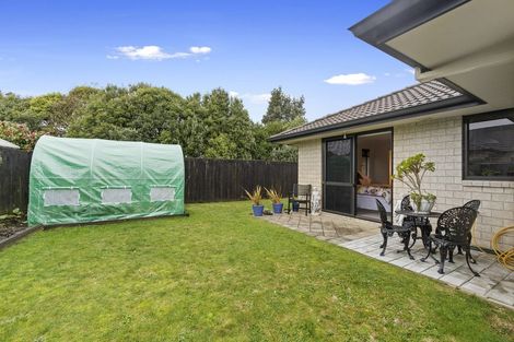 Photo of property in 50 Matipo Street, Matamata, 3400