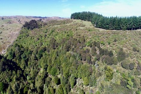 Photo of property in 41 Stewart Street, Marton, 4710