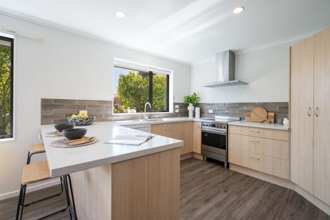 Photo of property in 21 Tollemache Street, Richmond, 7020