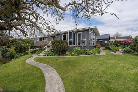 Photo of property in 61 Saint Andrews Terrace, St Andrews, Hamilton, 3200