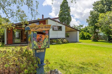 Photo of property in 101 Robinson Road, Whitianga, 3510