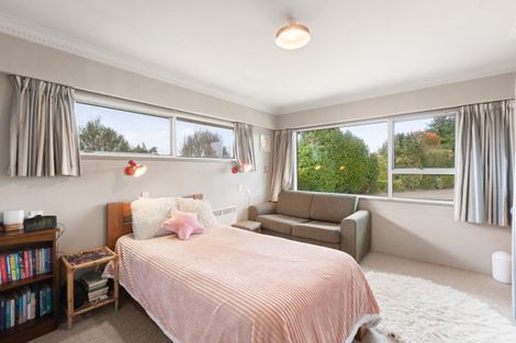 Photo of property in 62 Plummers Point Road, Whakamarama, Tauranga, 3172