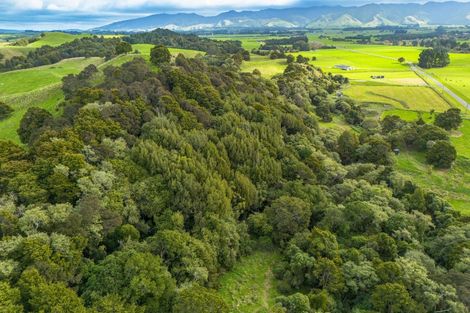 Photo of property in 137 Kiritaki Road, Dannevirke, 4972