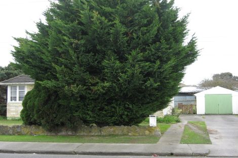 Photo of property in 1029 Campbell Street, Raureka, Hastings, 4120