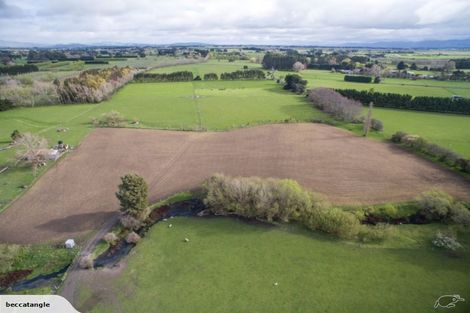 Photo of property in 90 Te Whiti Road, Homebush, Masterton, 5810