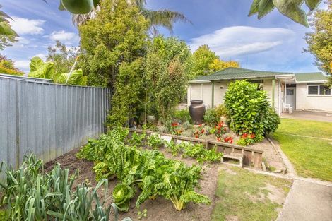 Photo of property in 13 Mckeefry Avenue, Greenmeadows, Napier, 4112