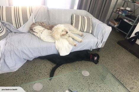 Photo of property in 82 Bay Street, Red Beach, 0932