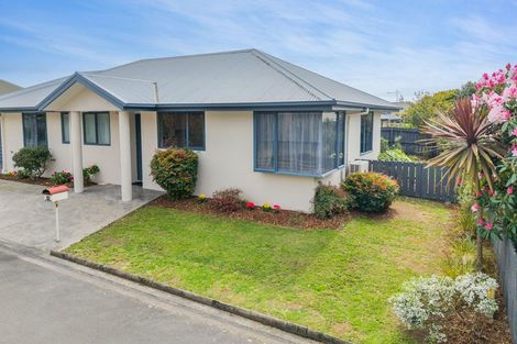 Photo of property in 85 Templemore Drive, Richmond, 7020
