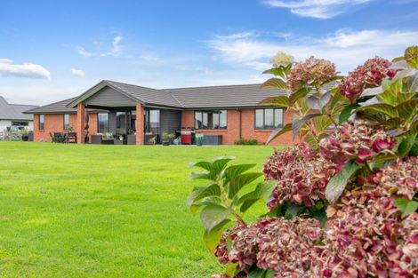 Photo of property in 43 Seachange Drive, Leamington, Cambridge, 3432