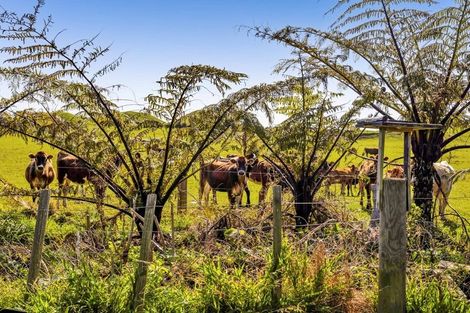 Photo of property in 39 Pungarehu Road, Pungarehu, Opunake, 4685