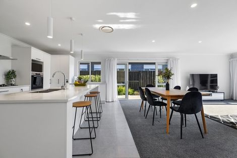 Photo of property in 3 Lissaman Place, Chartwell, Hamilton, 3210