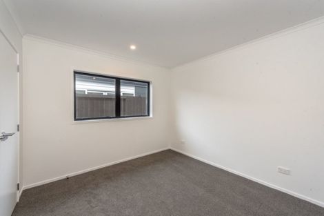 Photo of property in 25 Probert Crescent, Chartwell, Hamilton, 3210