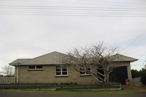 Photo of property in 8 Mount Street, Waikouaiti, 9510