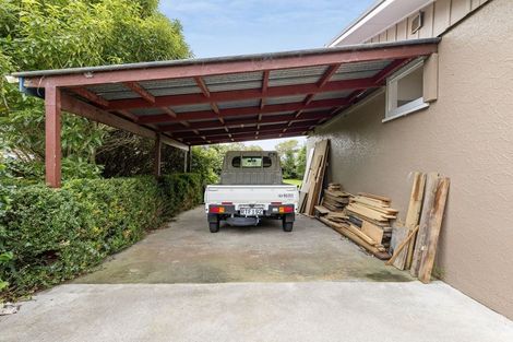 Photo of property in 9 Patea Place, Terrace End, Palmerston North, 4410
