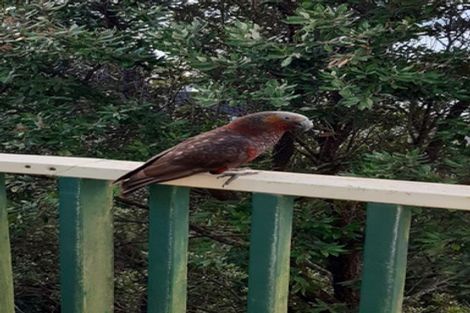 Photo of property in 138 Nicholson Road, Khandallah, Wellington, 6035