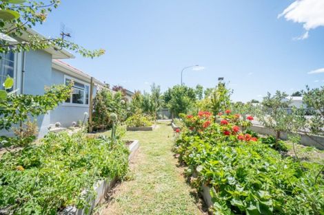 Photo of property in 244 Botanical Road, Takaro, Palmerston North, 4412