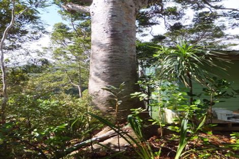 Photo of property in 35-37 Lone Kauri Road, Karekare, New Lynn, 0772