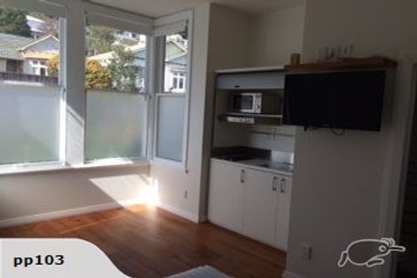 Photo of property in 114 Austin Street, Mount Victoria, Wellington, 6011