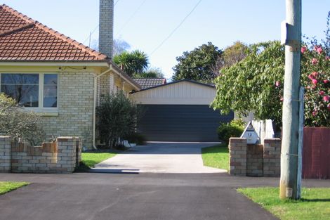 Photo of property in 12 Darley Street, Maeroa, Hamilton, 3200