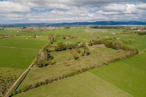 Photo of property in 97f Poplar Lane, Edgecumbe, Whakatane, 3192