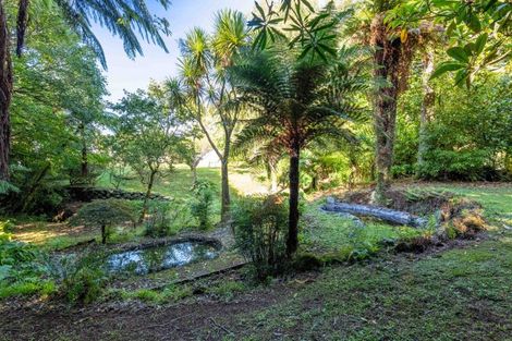 Photo of property in 58 Celia Street, Stratford, 4332