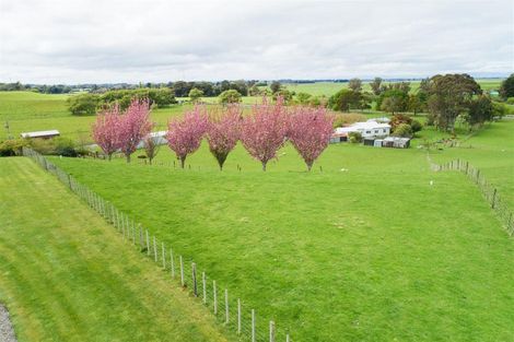 Photo of property in 197 Tutaenui Road, Marton, 4788