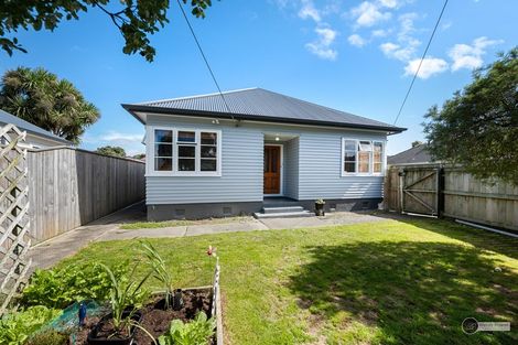 Photo of property in 3 Scanlan Street, Avalon, Lower Hutt, 5011