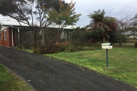 Photo of property in 16 Sheffield Street, Matamata, 3400