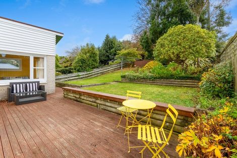 Photo of property in 49 Chapman Street, Wakari, Dunedin, 9010