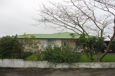 Photo of property in 604 Queen Street East, Levin, 5510