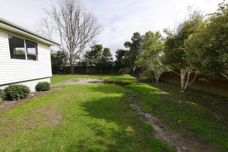Photo of property in 313 Roscommon Road, Clendon Park, Auckland, 2103