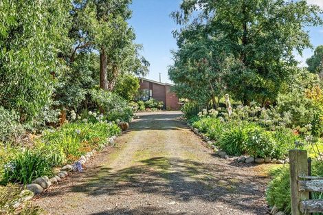 Photo of property in 44 James Road, Rangitumau, Masterton, 5871