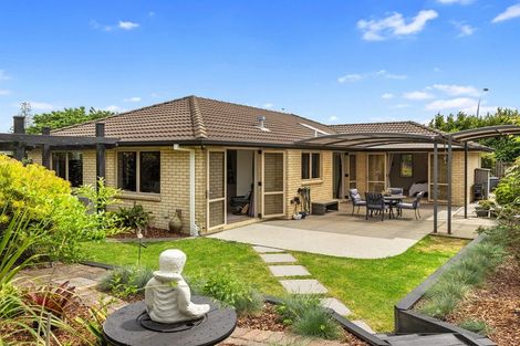 Photo of property in 17 Olive Close, Omokoroa, 3114