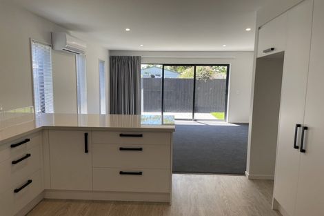 Photo of property in 71 Perth Street, Richmond, Christchurch, 8013