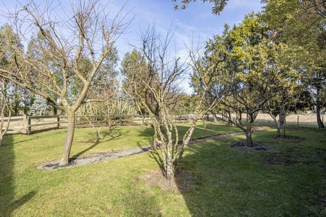 Photo of property in 127 Company Road, Newland, Ashburton, 7772