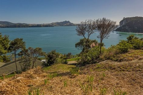 Photo of property in 1067 Purangi Road, Ferry Landing, Whitianga, 3591