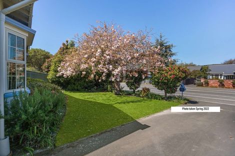 Photo of property in 1/91 Saint Martins Road, Saint Martins, Christchurch, 8022